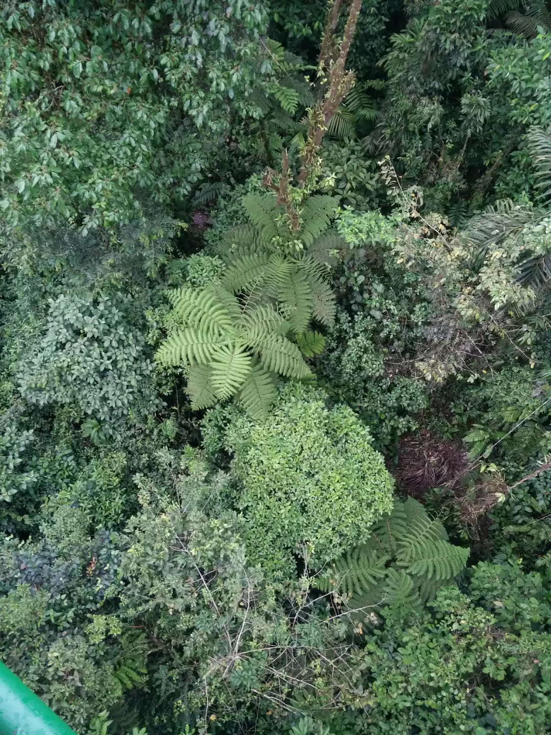 Photo of Costa Rica (Dec 15 -