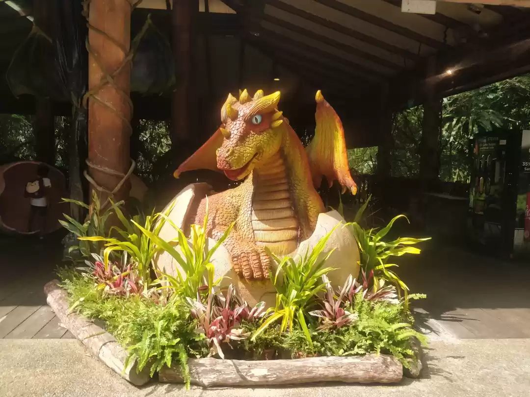 Photo of Best of Singapore wi