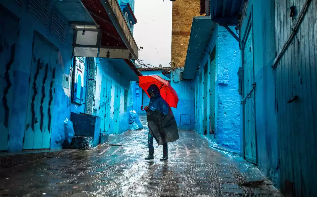 Photo of BLUE BEAUTY