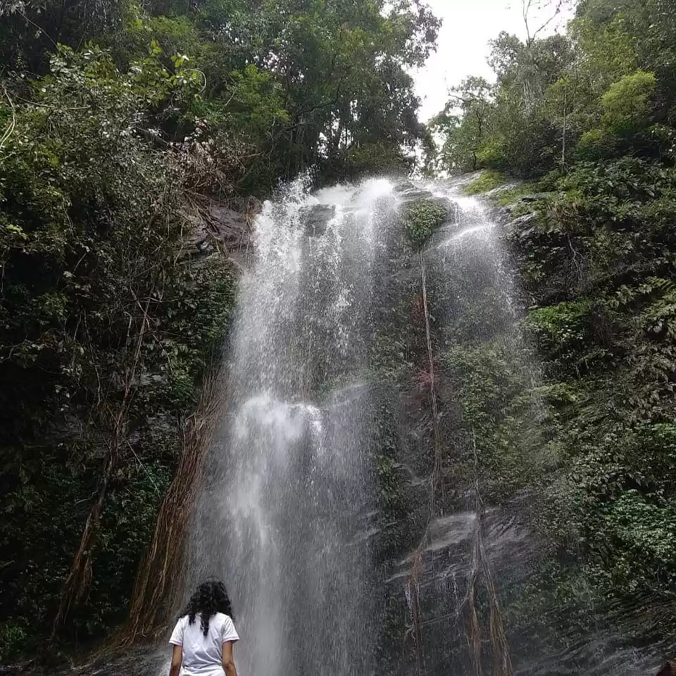 Photo of Kodachadri : A walk 