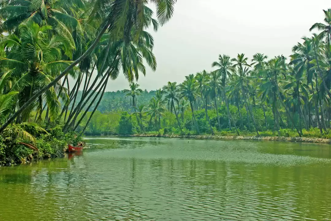 Photo of Kerala Tourism Travel