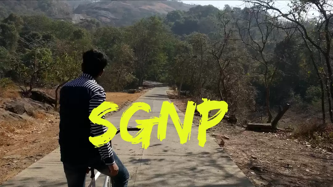 Photo of Experience the Green