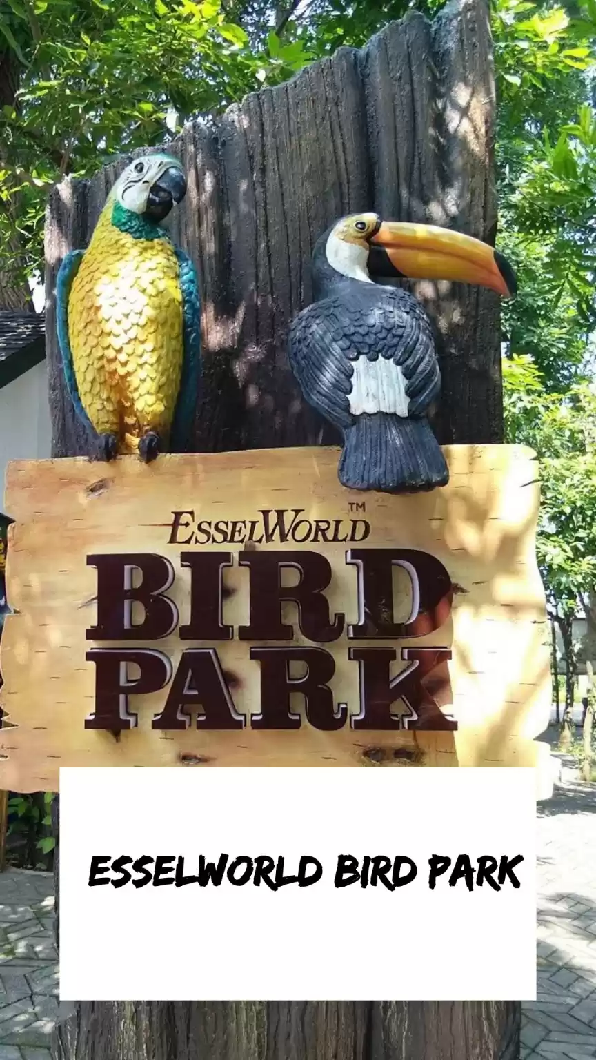 Photo of Experience the Pokem