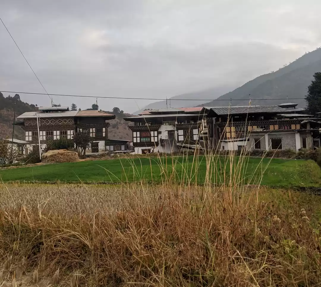 Photo of A break from the pro