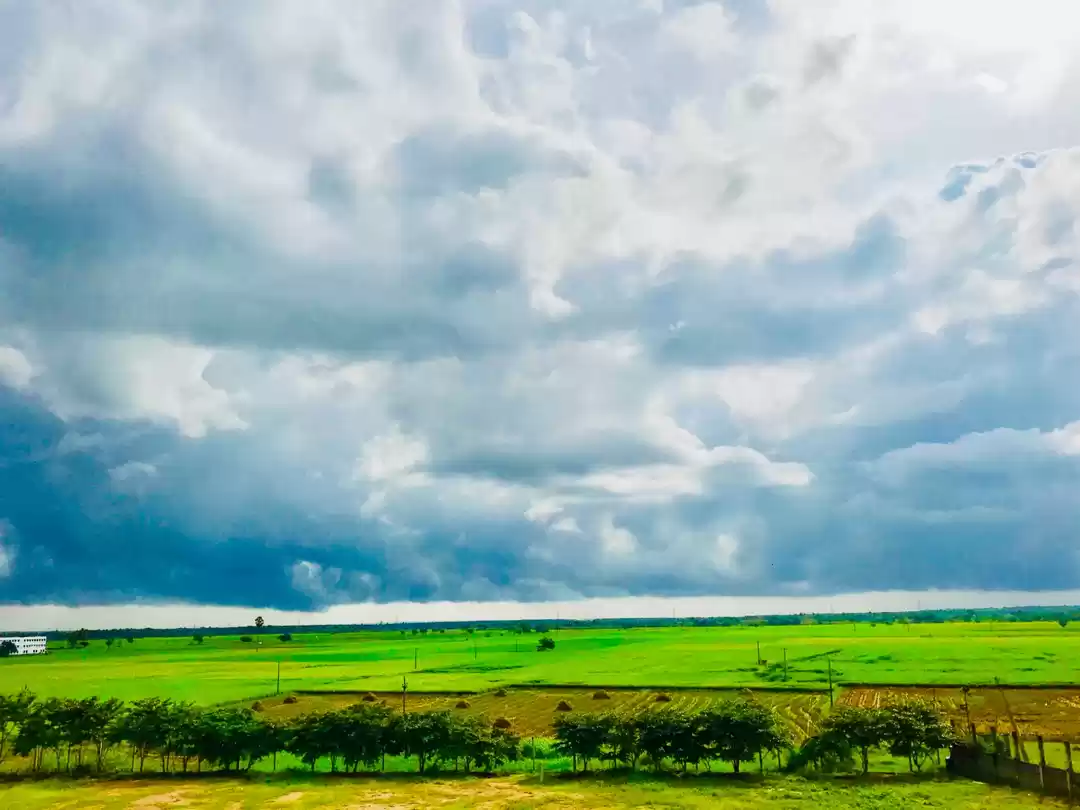 Photo of #Paddy fields 