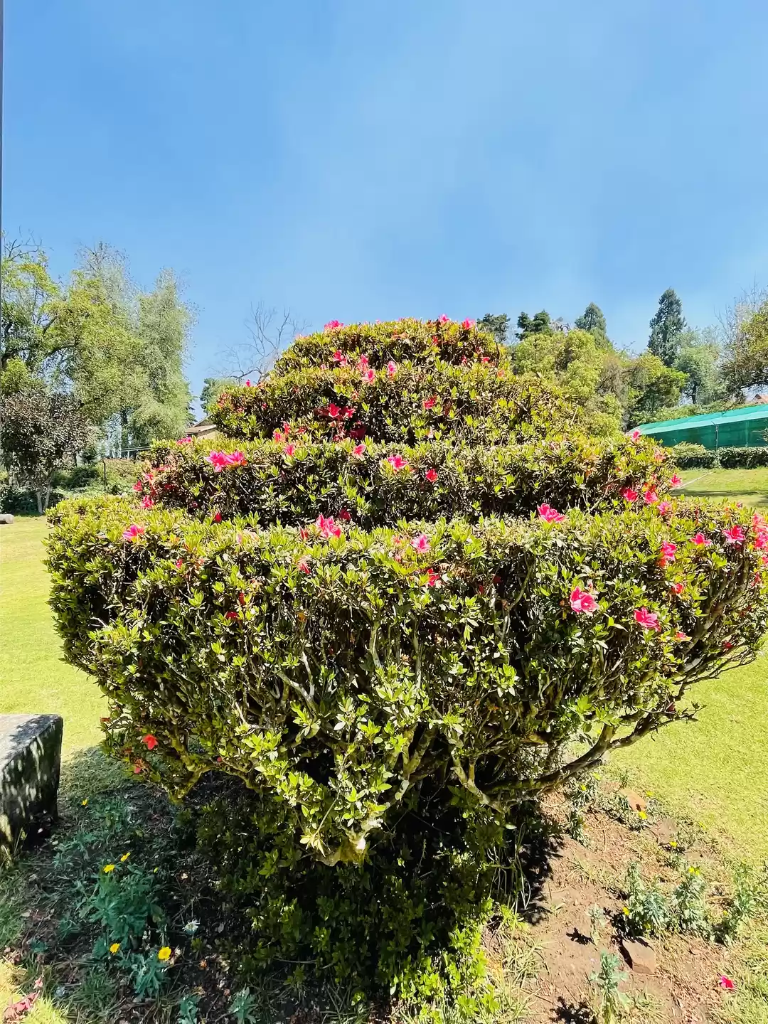 Photo of Bryant Park 