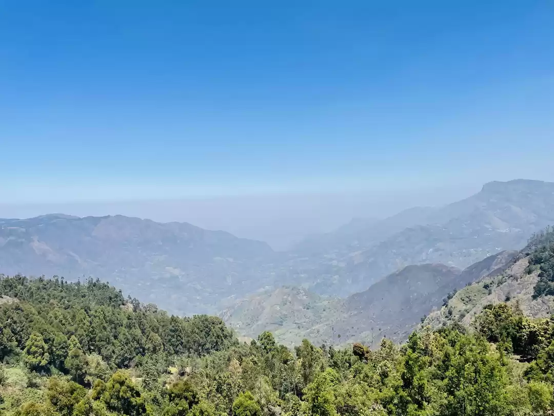 Photo of Palani malai view po