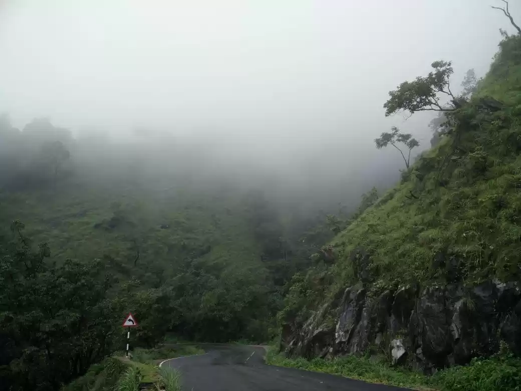 Photo of Chasing The South We