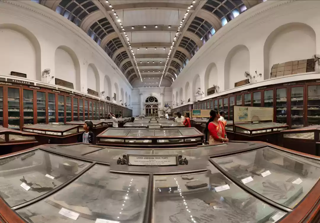 Photo of Indian Museum