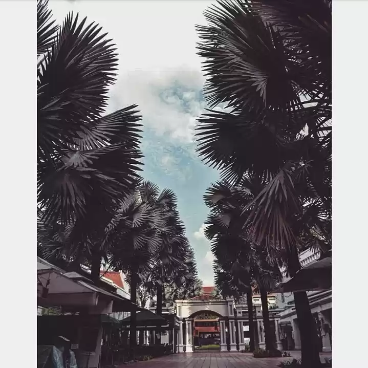 Photo of Singapore is a must 