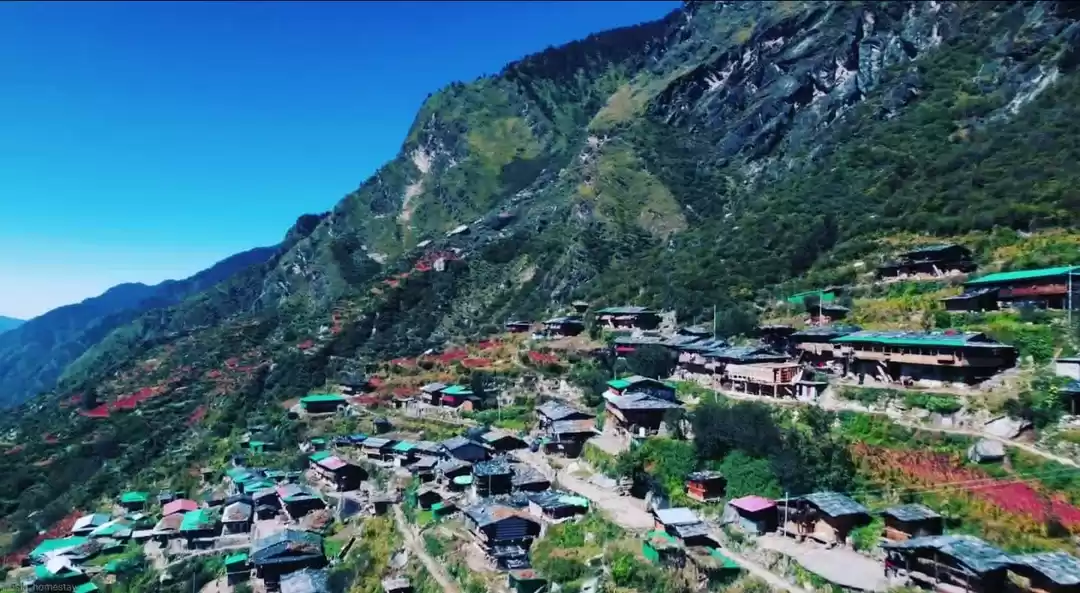 Photo of Osla most popular Hi