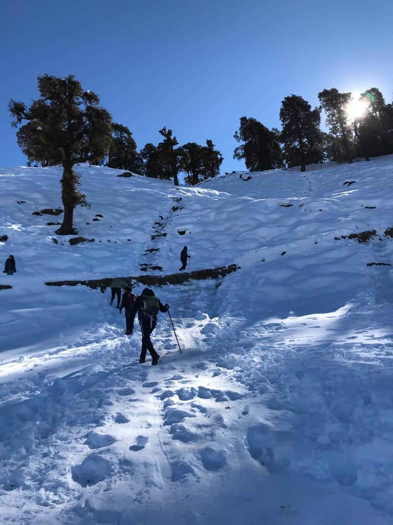 chopta tour package