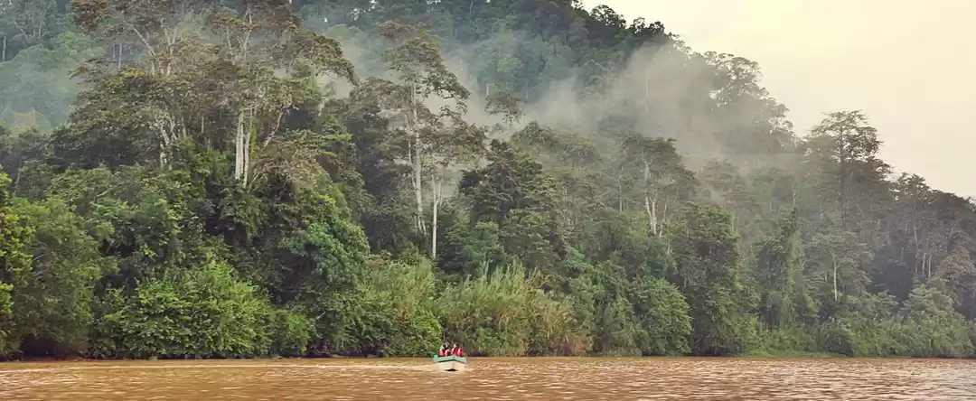 Photo of Best Place To See Wi