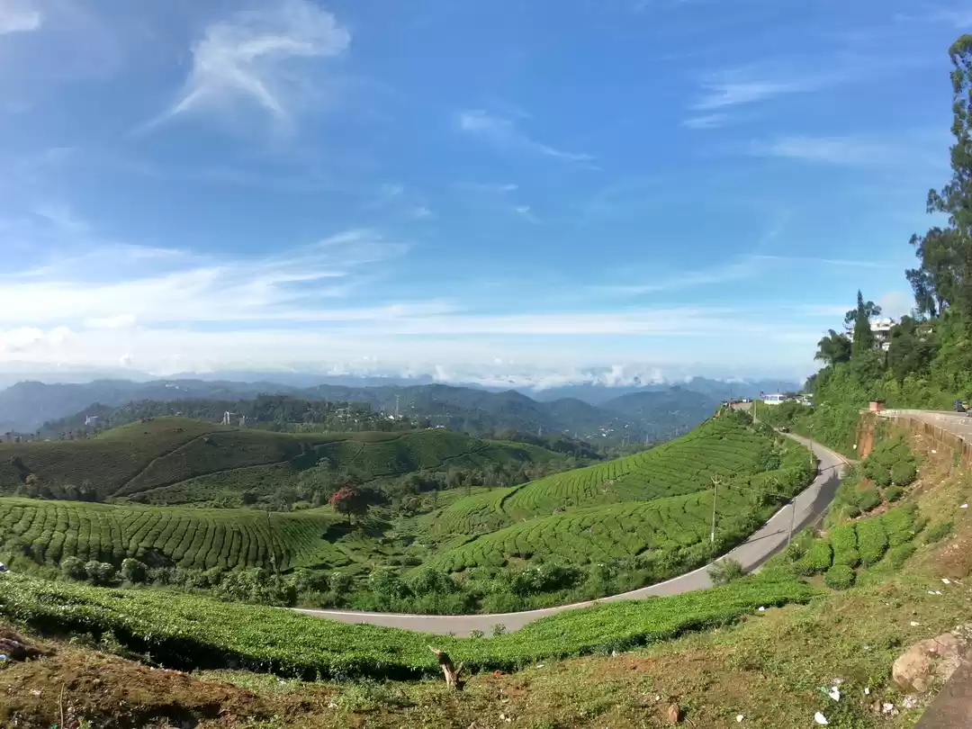 Photo of The paradise of Koch