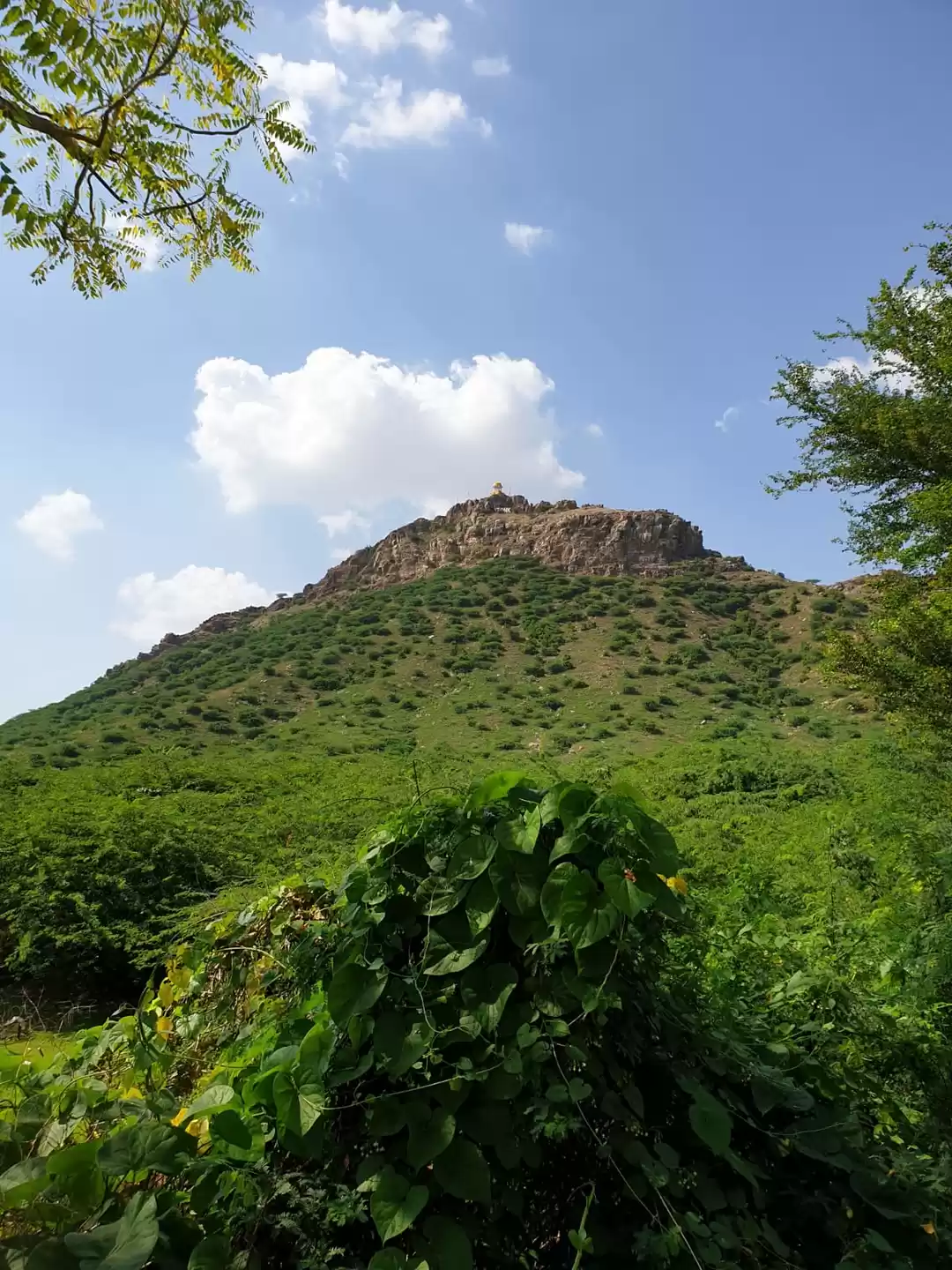 Photo of Strangers in an unkn