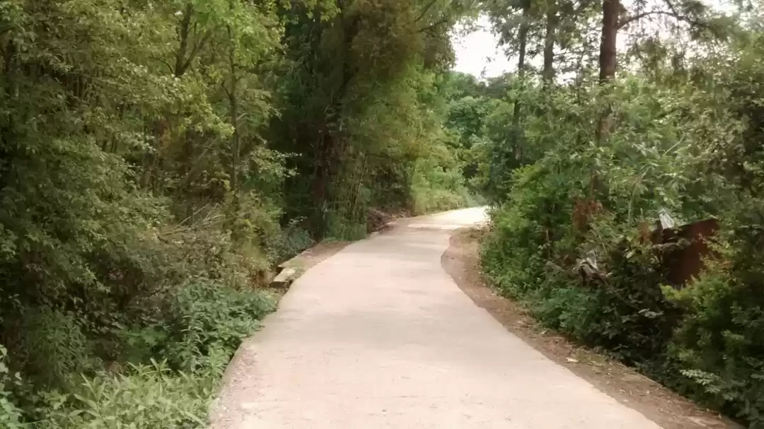 Photo of Kangra