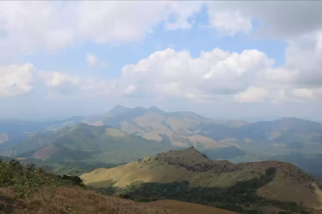 Photo of Tadiyandamol Peak tr