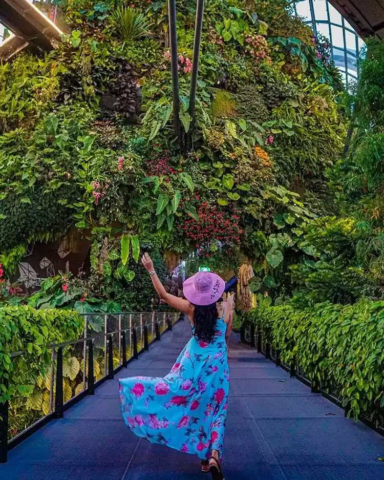 Photo of The Ultimate Travel