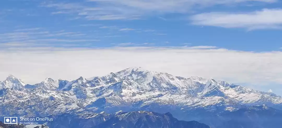 Photo of My First Himalayan T