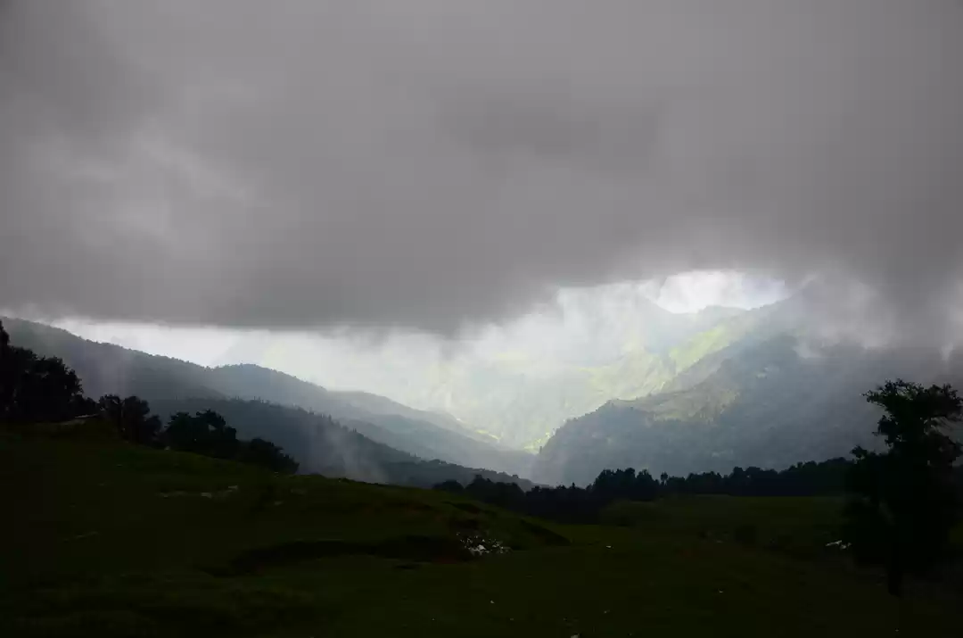 Photo of The Valley of Flower