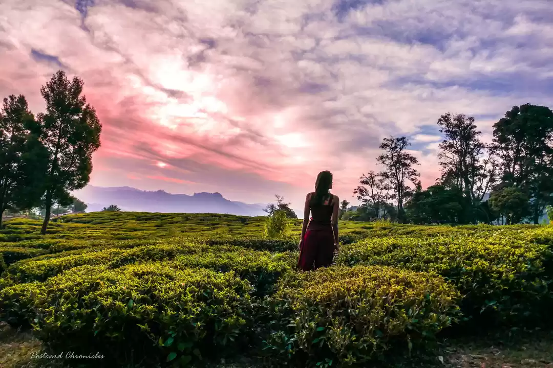 Photo of Red Hill Nature Reso