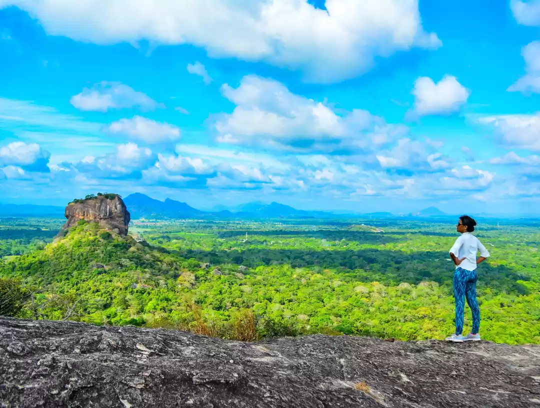 Photo of Handy Travel Guide t