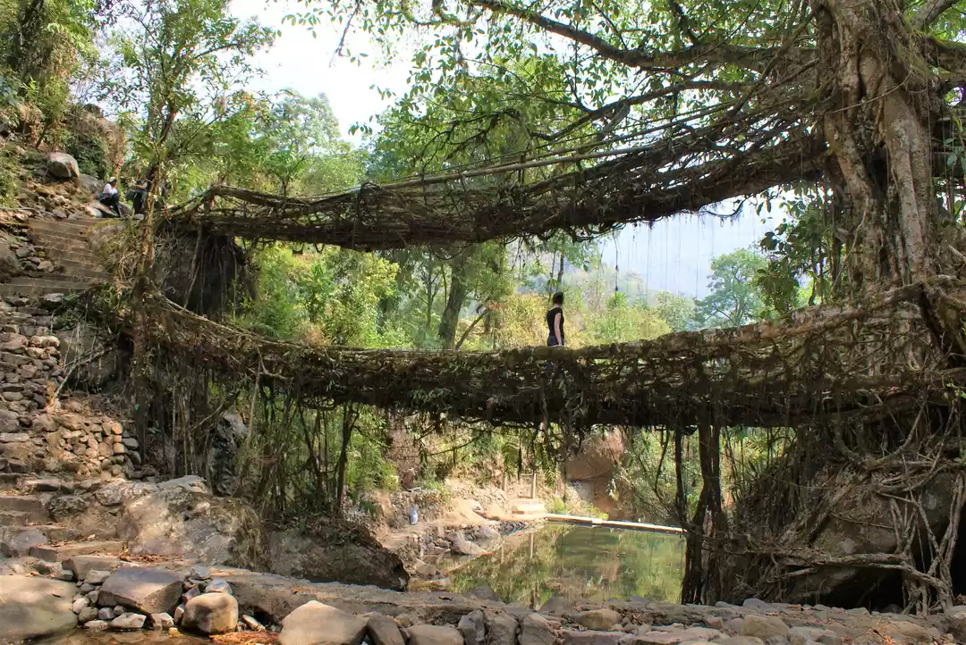 Photo of Hiking trail to the