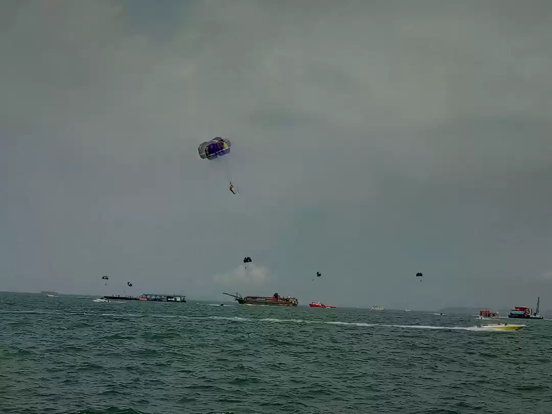 Photo of The incredible Patta