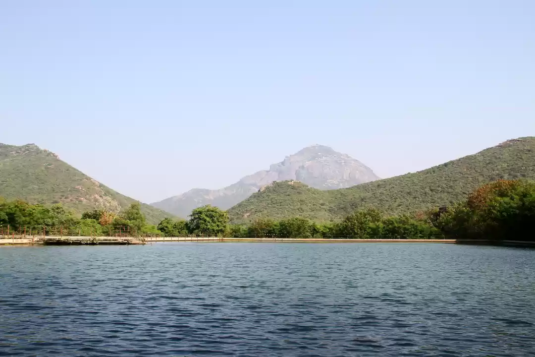 Photo of Face of Gujarat, Ind