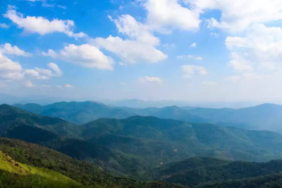 Photo of Want a cheap Trip to