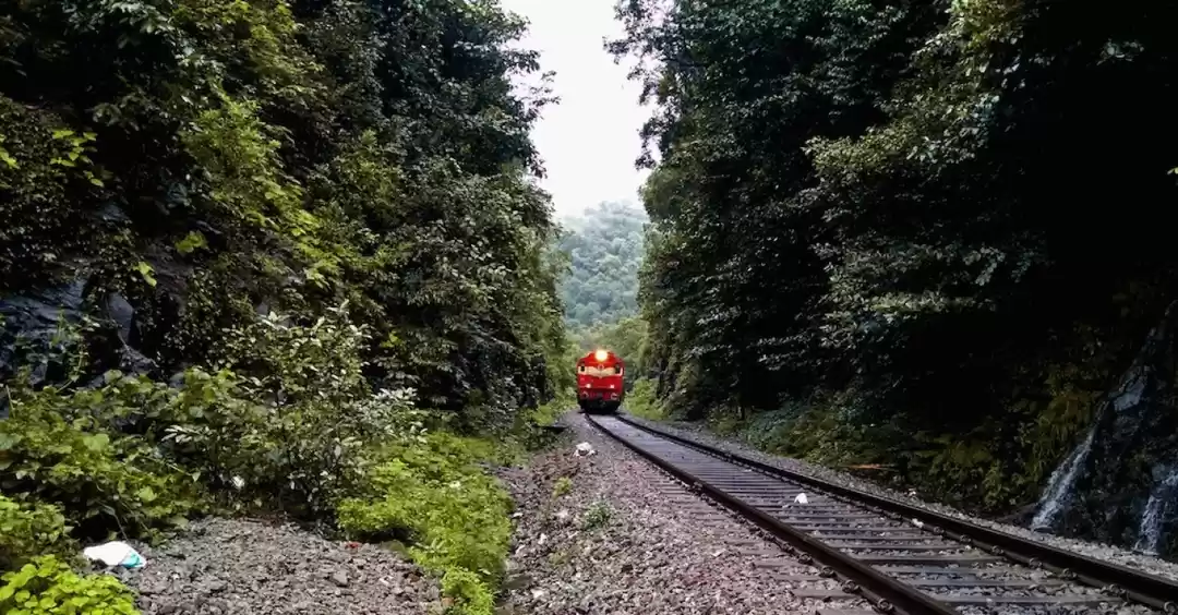 Photo of Backpacking In The W