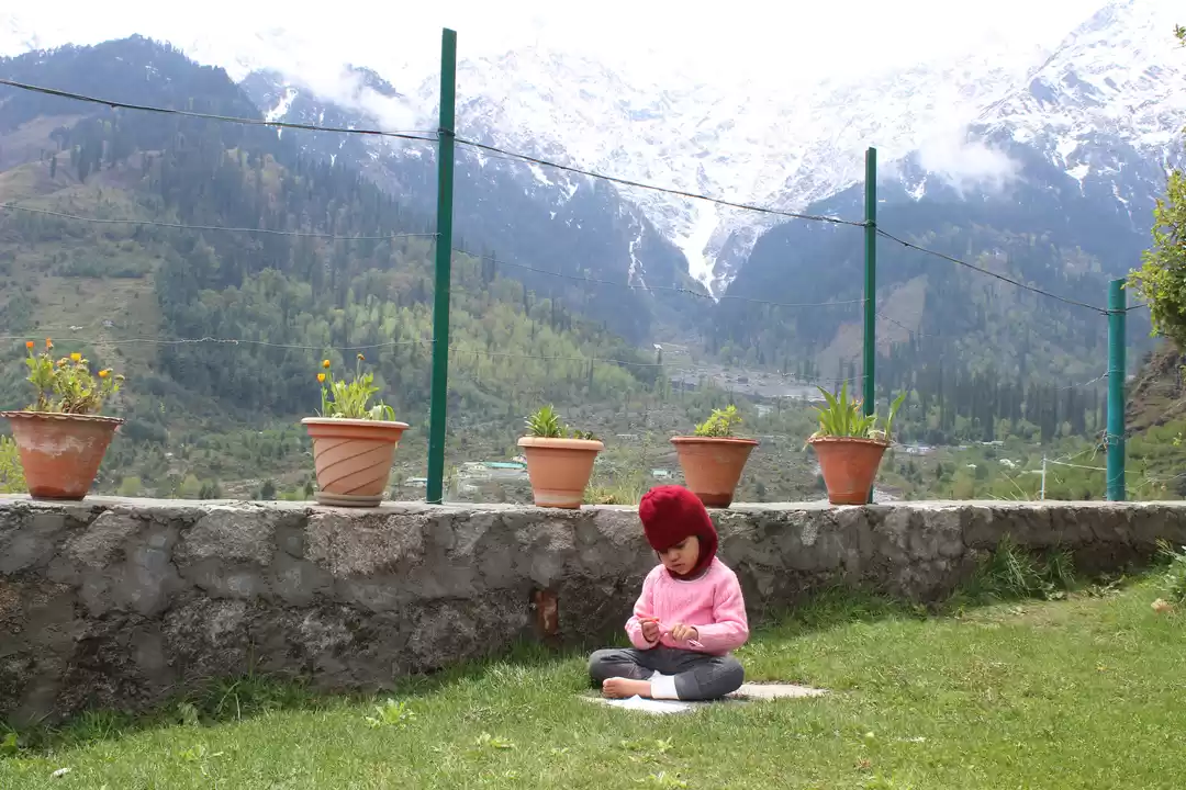 Photo of A 2.5 year old's Fir