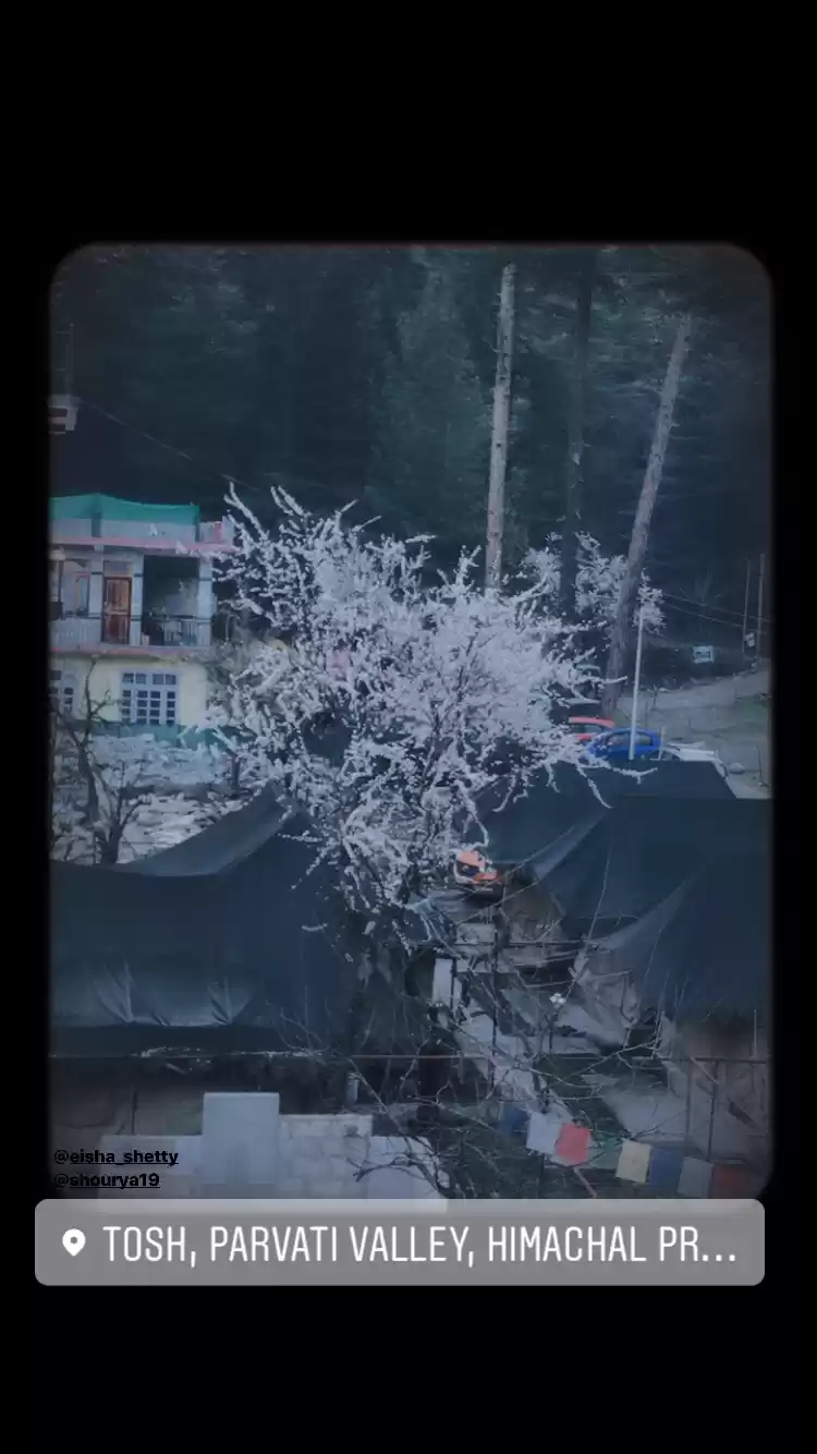 Photo of Just before Corona a