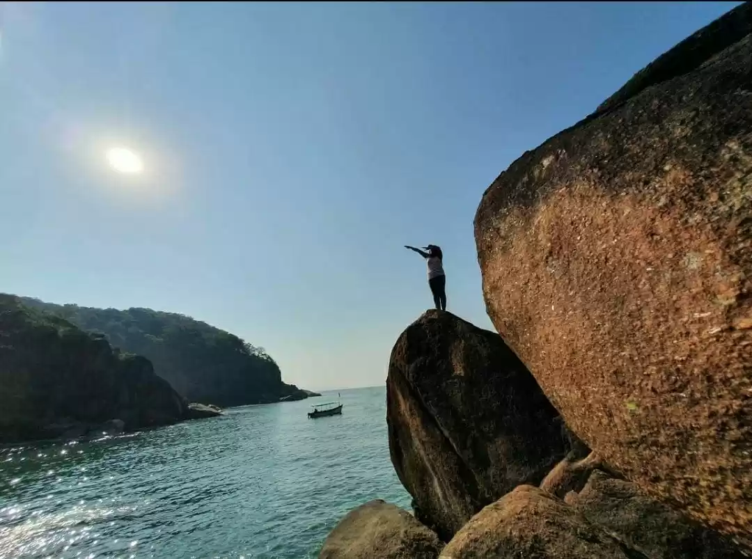 Photo of Butterfly Island #go