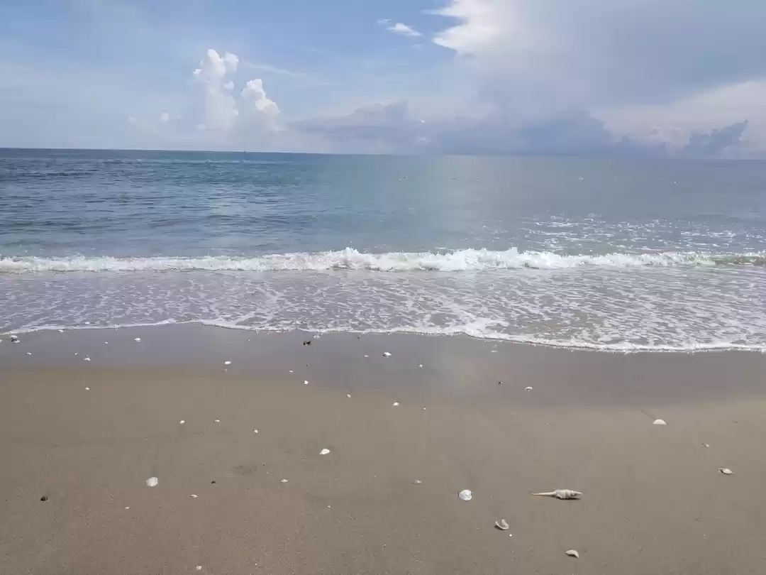 Photo of Things to do in Pond