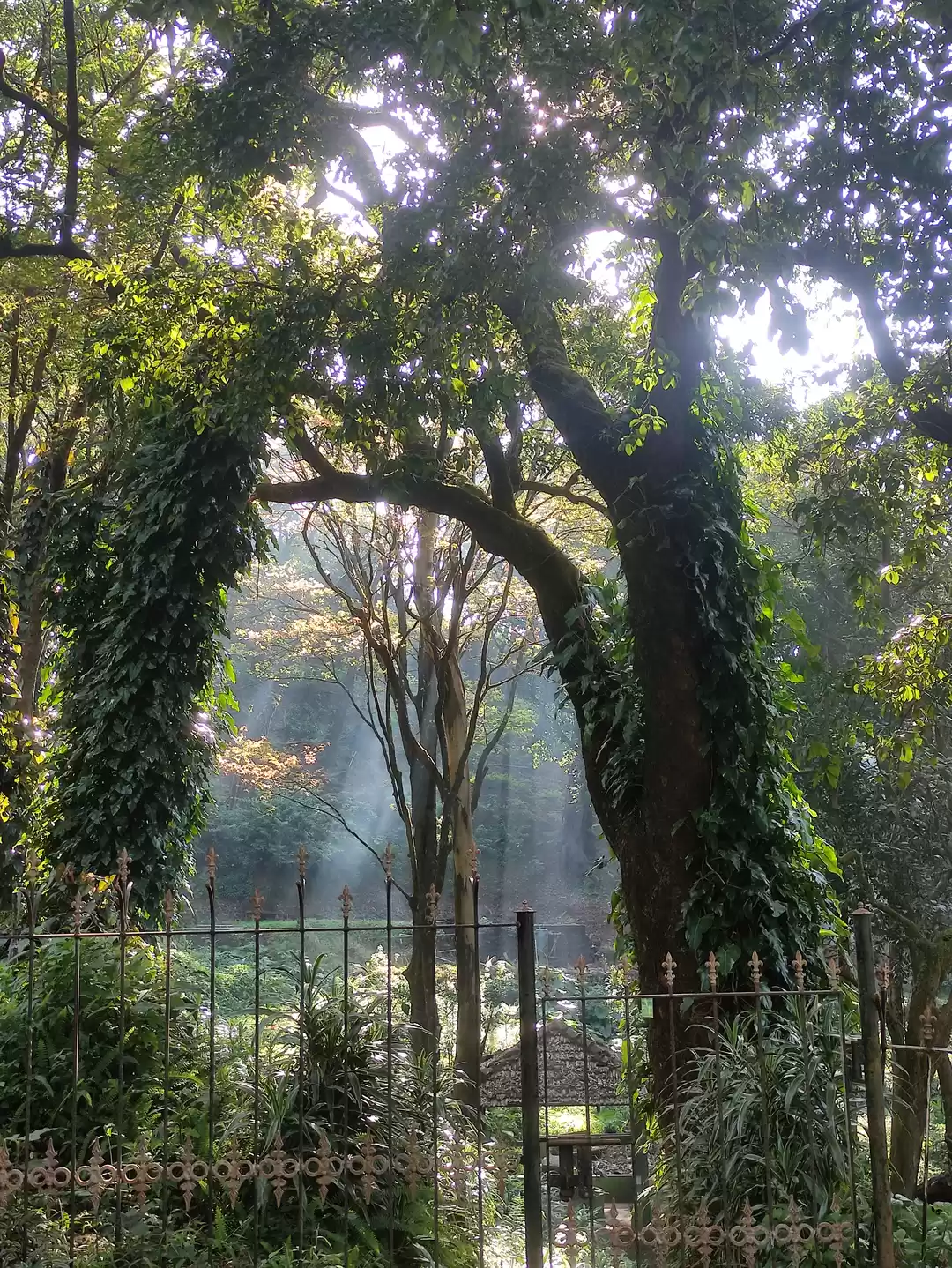 Photo of Post Monsoon Chikkam