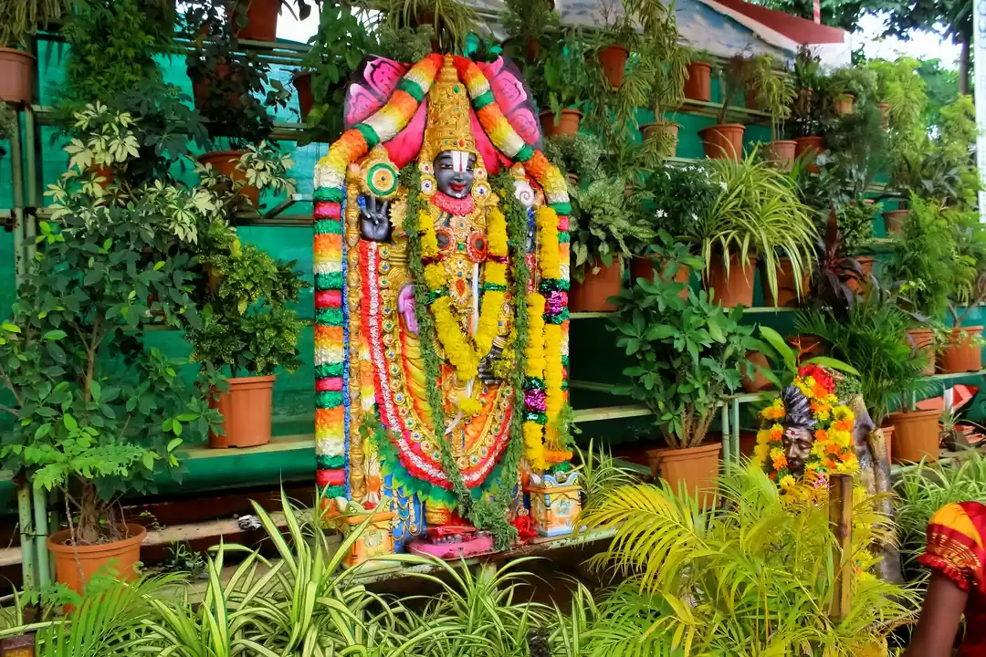 Photo of Drive through the gr