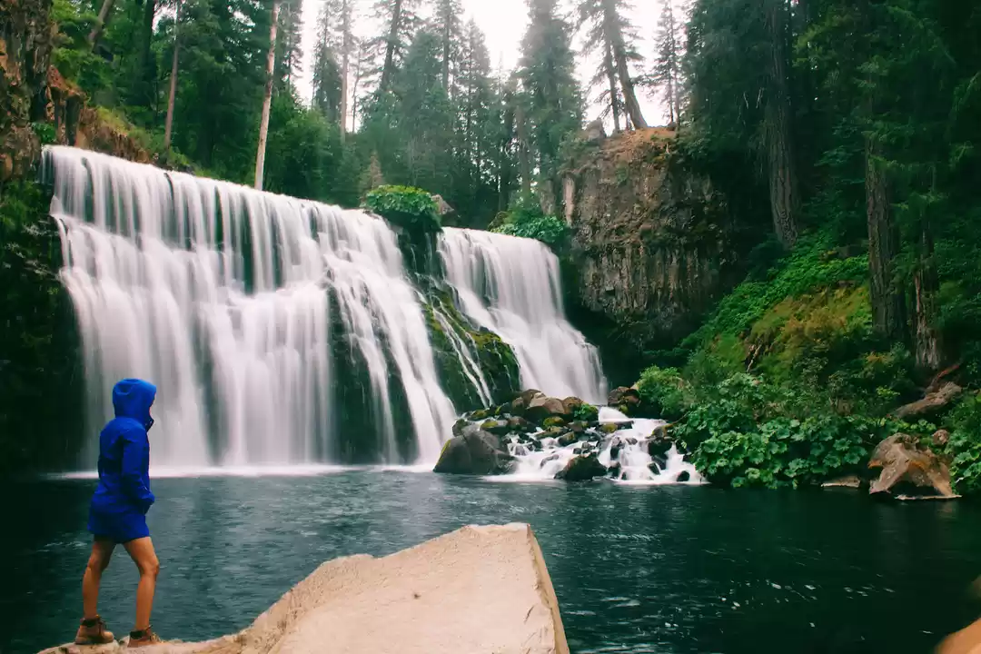 Photo of Mount Shasta: Weeken