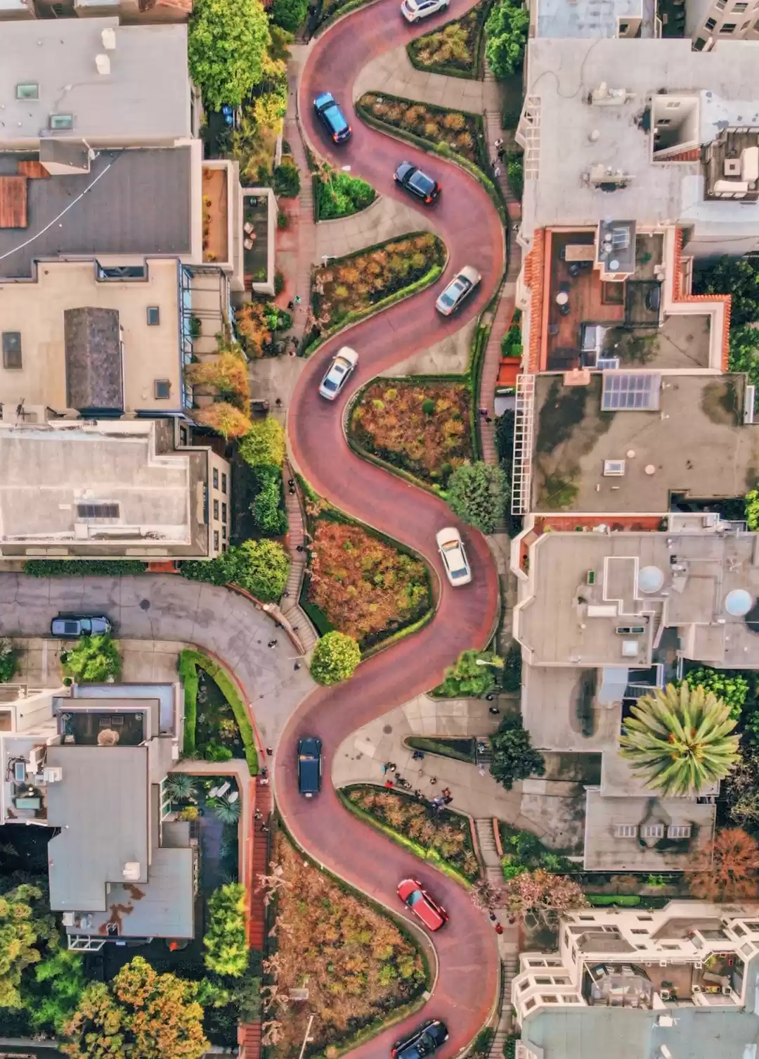 Photo of The World's Crookede