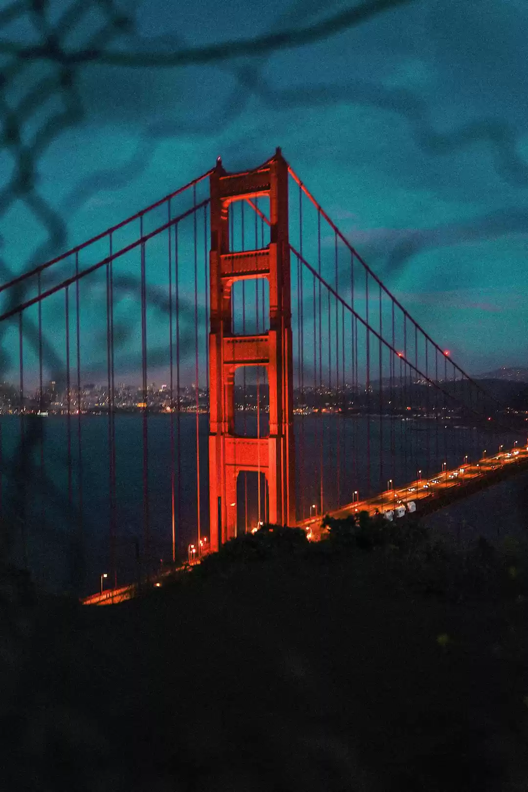 Photo of 10 Pictures That Pro