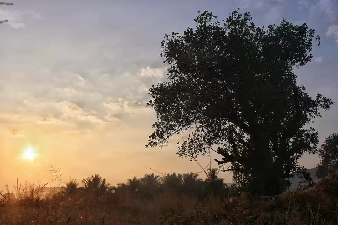 Photo of Instead of Goa, I sp