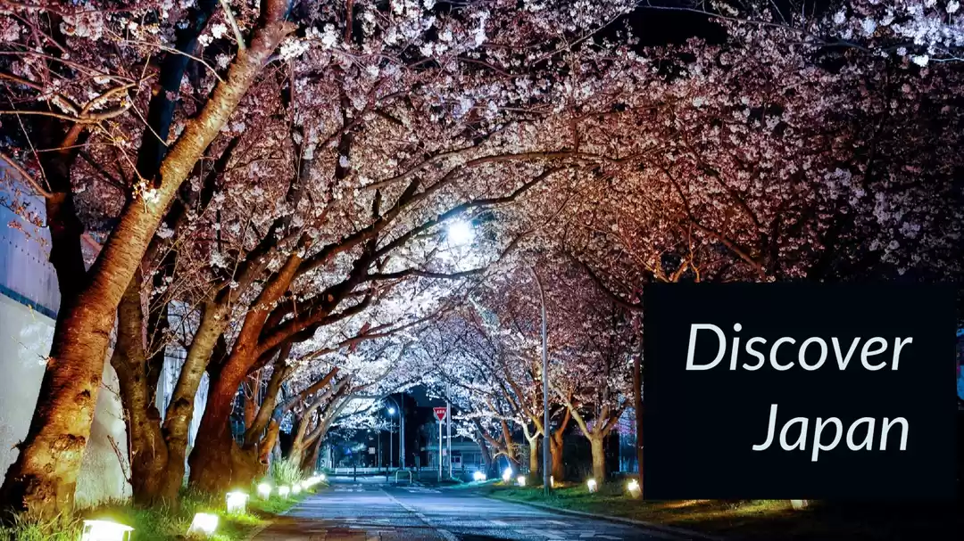 Photo of Travelling in Japan 