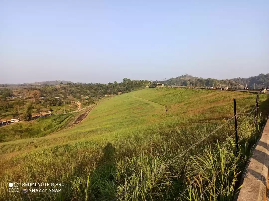 Photo of #Wyanad God's Own co