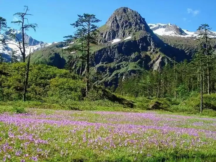 Photo of दरमा घाटी: हिमाचल के