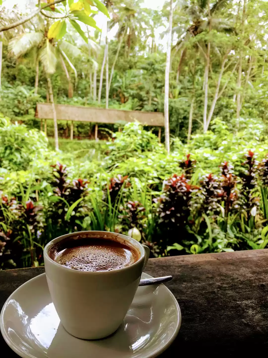 Photo of My Traveling Chai Ar
