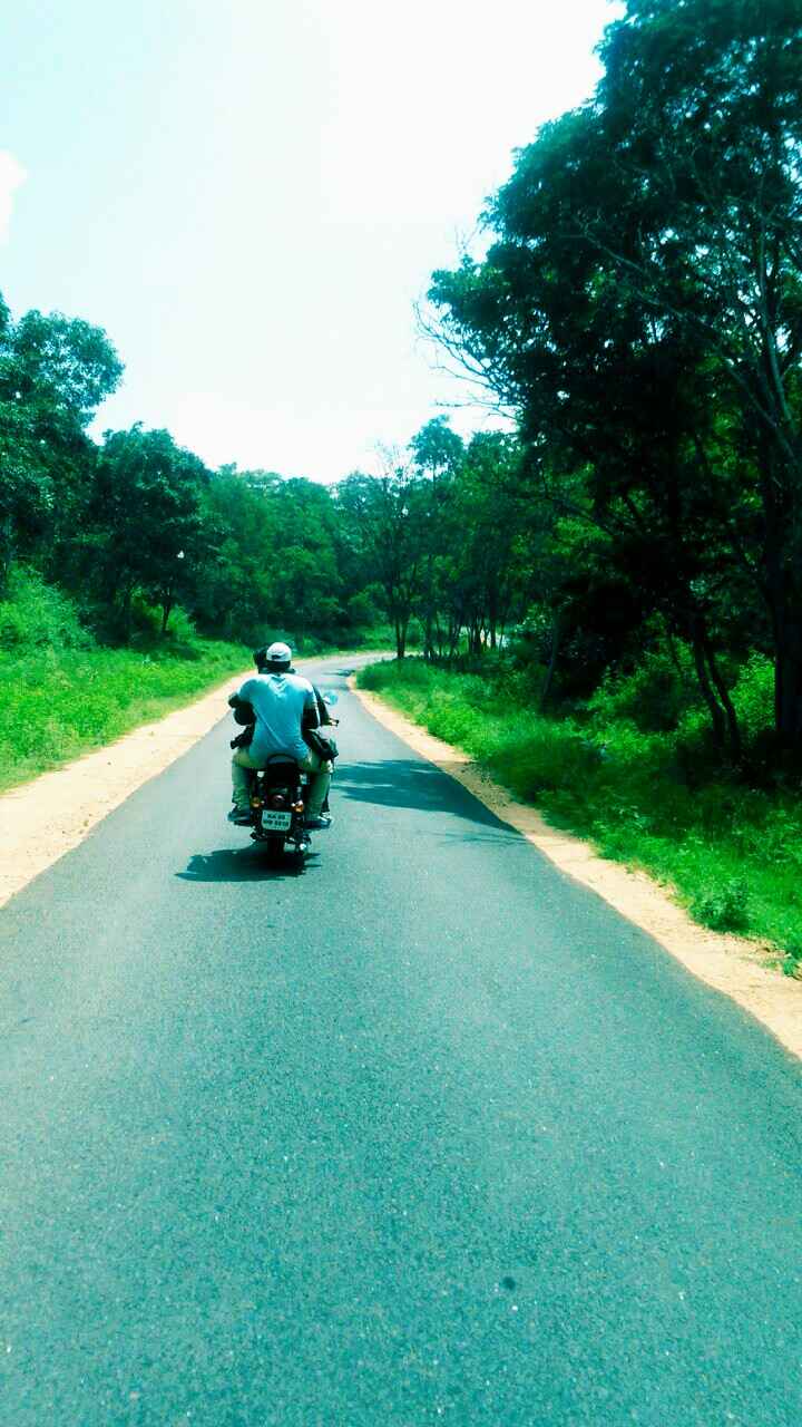 Bangalore To Br Hills Itinerary And Br Hills Distance From Bangalore Tripoto