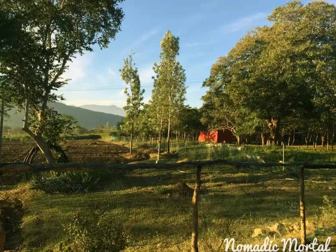 Photo of Starlit New Year’s E