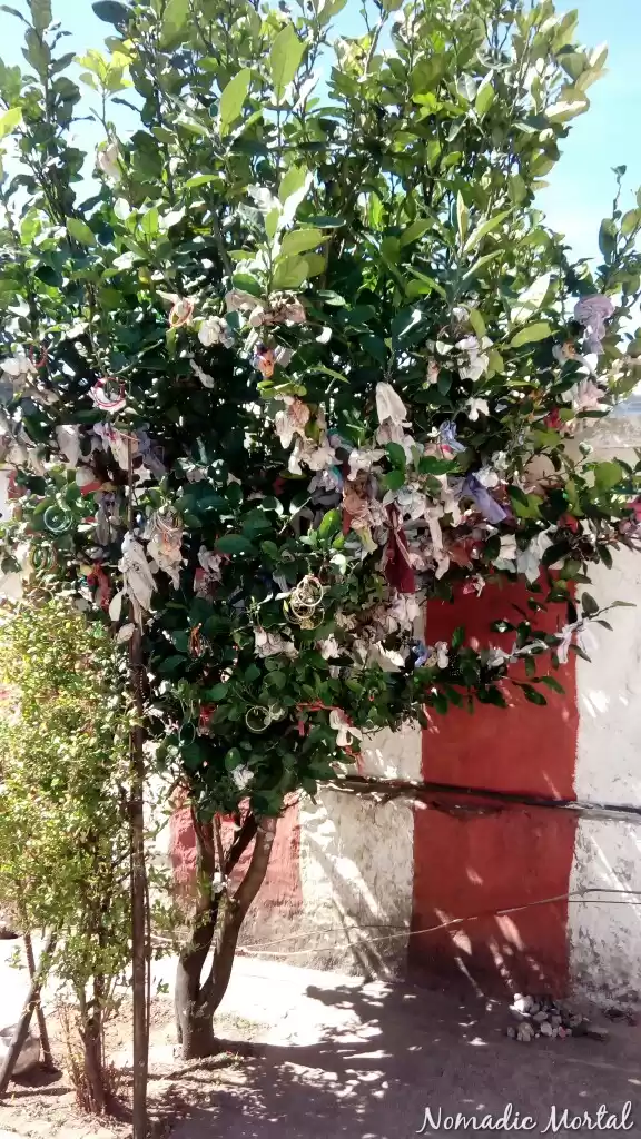 Photo of My soul jumped with 