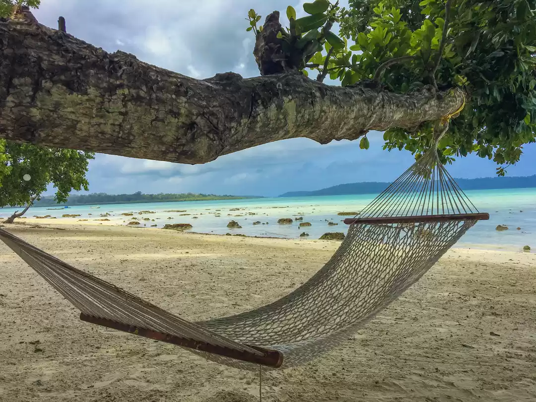 Photo of Things to do in Have