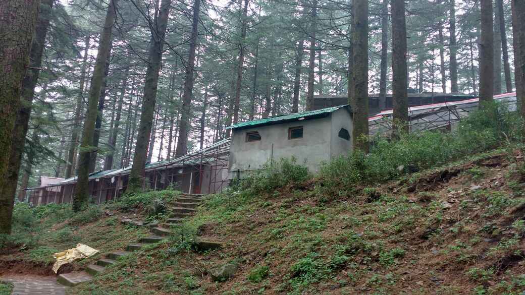 Vipassana 10 Days Of Silence Tripoto Special yoga course for vipassana meditators. vipassana 10 days of silence tripoto